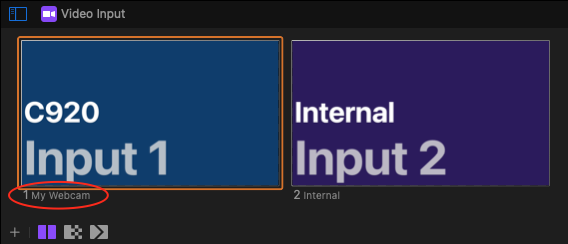 VideoInputName.png